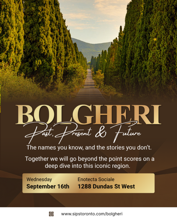 Bolgheri: Past, Present & Future